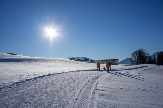 family with sled is walking on a path in the winter and everything is covered by snow with the sun on the blue sky