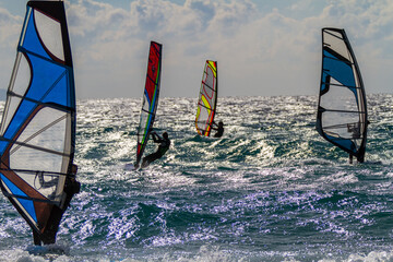 Windsurfer vor Tarifa/ Andalusien