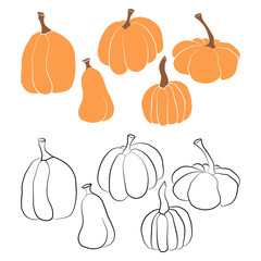 Pumpkin icon vector illustration set in two styles. Autumn Halloween or Thanksgiving pumpkin symbol in flat design, simple, outline silhouette isolated on white background