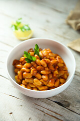 Homemade white bean ragout with tomato sauce