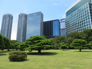 Green city Tokyo