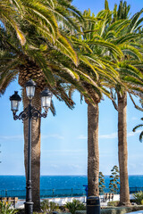The avenue of palm trees along the Balcon de Europa, Nerja, Andalusia, Spain. Sunny winter. No people.