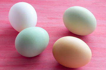 Painted Easter eggs close-up on a pink painted background. Easter Holiday.