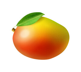 Mango Realistic Illustration