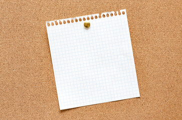 Blank paper notes are pinned to a cork board. Copy space.