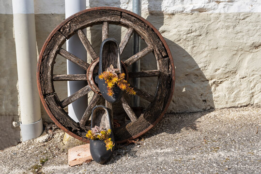 Country decoration. Wooden wheel, albarcas and plants.