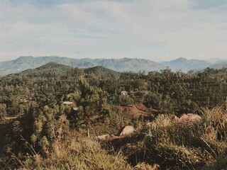 landscape in the mountains
