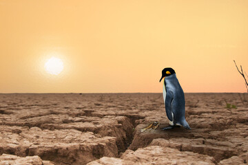 Penguin standing on dry cracked earth with hot sun and bad environment, metaphor an Impact of...