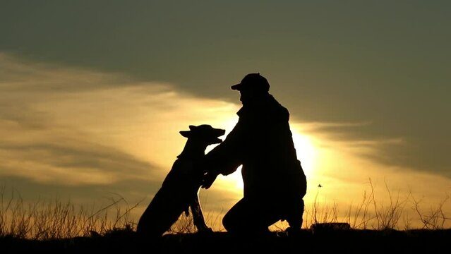 Silhouettes of a man and a dog on the background of a sunset, the owner strokes the dog, the Belgian shepherd malinois and the man are best friends