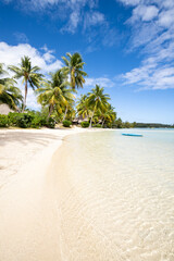 Tropical island with white sandy beach and palm trees