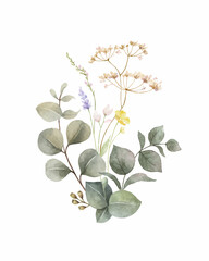 Watercolor vector green eucalyptus and meadow flowers arrangement.