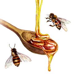 Watercolor Illustration of Golden Honey Pouring into Wooden Spoon Isolated on White.