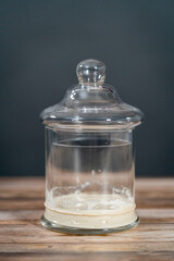 Sourdough starter