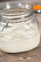 Sourdough starter