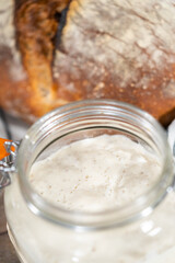 Sourdough starter