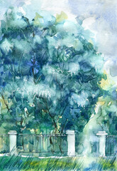 Weeping willow and fence.Landscape. Blue tree. Watercolor hand drawn illustration.
- 487335267