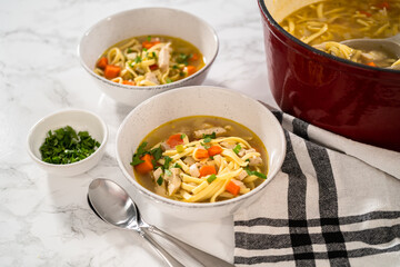 Chicken Noodle Soup