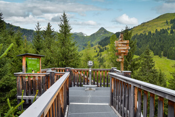 Fototapeta premium Aussichtspunkt am Wipfelwanderweg im Talschluss bei Saalbach-Hinterglemm / Österreich