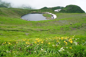 お花畑と鳥海湖