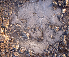 Abstract image of stones in frozen puddle. Cheshire, UK