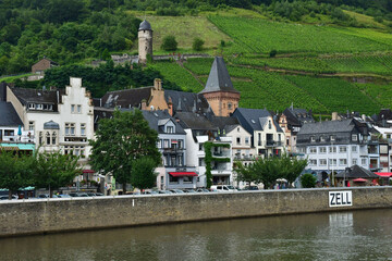 Fototapeta na wymiar Moselle valley; Germany- august 11 2021 : valley of vineyard
