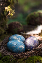 Happy Easter 2022. A postcard with a copy of the place for the text. Purple, blue and golden eggs in a nest on a natural forest background. Top view.