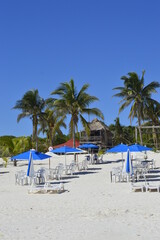 Guarda sol azul com cadeiras na praia, com coqueiros e céu azul ao fundo.