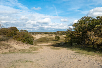 View from a dune top over the vast dune area of ​​the Amsterdam Waterleidingduinen
