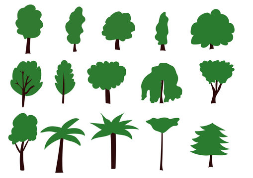 Set of drawings of trees 