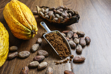 Cocoa powder and cocoa bean on wooden table