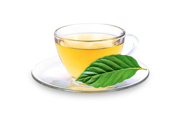 Cup of Kratom tea with fresh kratom leaf (Mitragyna speciosa) isolated on white background. 