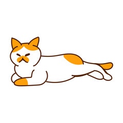 Hand drawn cat cartoon character illustration Animal.