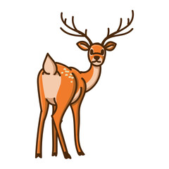 Hand drawn deer cartoon character illustration Animal.