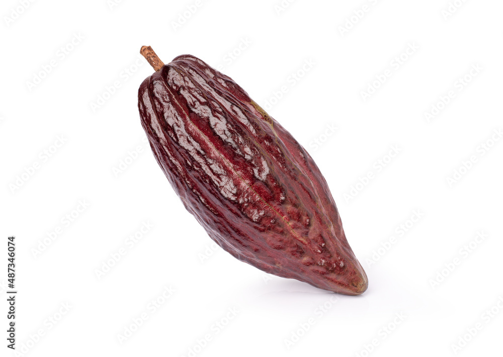 Poster Fresh red cocoa fruit isolated on white background.	