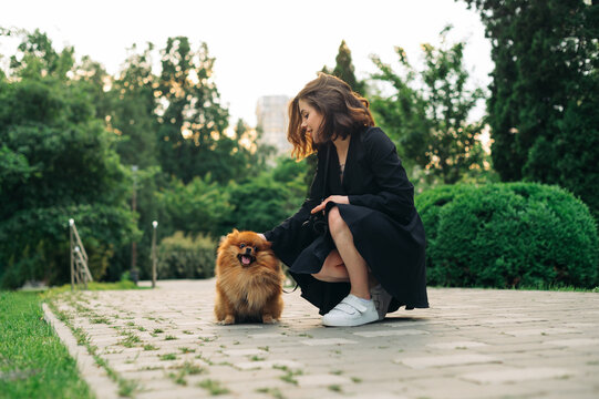 Attractive woman sitting in the park with a Pomeranian Spitz dog and petting a pet with a smile on his face.