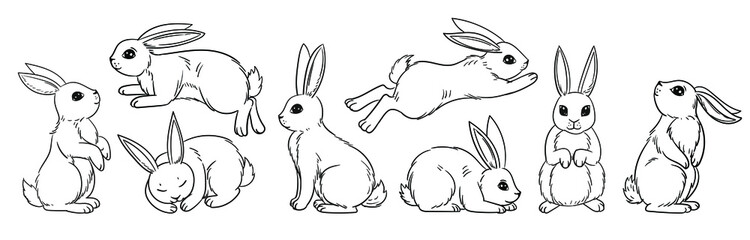 Various cute bunnies, spring, easter bunny in sketch style. Rabbit sits, sleeps and jumps vector illustration isolated on white. Doodle style, hand drawing, graphic.