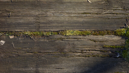 old weathered wood covered with moss (abandoned train tracks underlay)