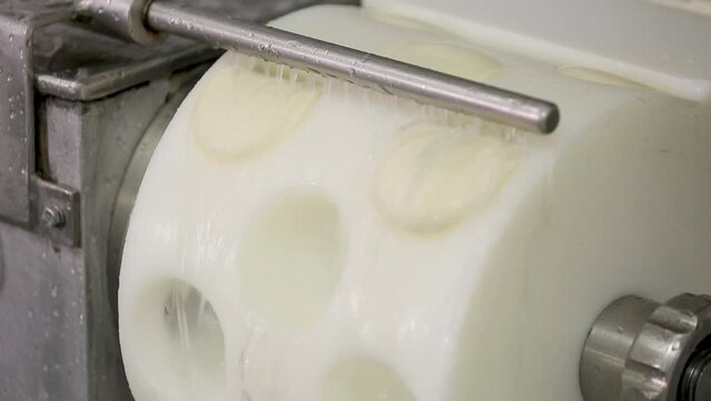 Handmade process production mozzarella cheese making manually cheese factory dairy food traditional mozzarella craft making local food manufacturing. Local traditional production cheese dairy produce
