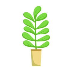 Home plant in a pot. Vector illustration isolated on white background.