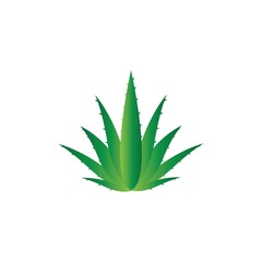 Aloe vera logo vector ilustration template