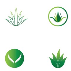 Aloe vera logo vector ilustration template
