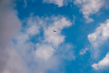 Bird flying against a sky with clouds