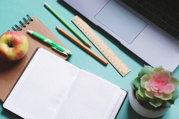 Flat lay office table photography. Open paper notebook, pen, pencil, red apple and cactus plant. Online educational course