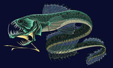 Drawing Sloane monster fish, monster characters, biggest, agressive, art.illustration, vector
