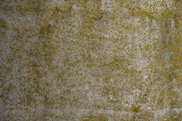 Textura moho
