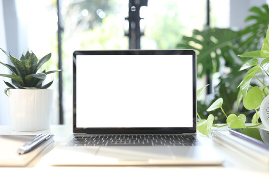 Laptop And Indoor Plants Work From Home Set Up