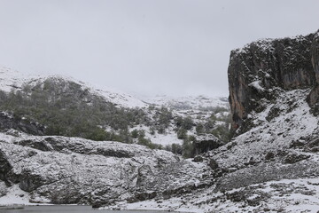 Picos de Europa