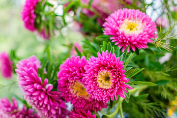 Obraz premium Large bouquet of garden aster with spring greenery in a flower shop