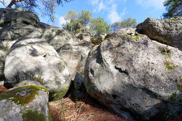 Denecourt hiking path 19, Dame Jouanne hill in Fontainebleau forest
