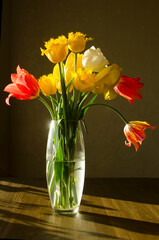 A beautiful bouquet of yellow and red tulips in a glass vase on a wooden table close-up in the sunlight. Still-life flower
